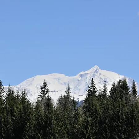 Stylish In Charming Megeve *