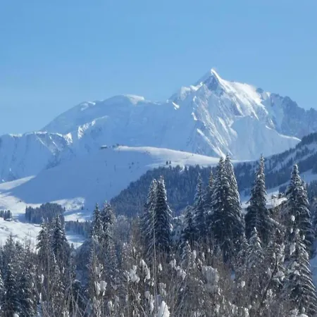 Stylish In Charming Megeve * Praz-sur-Arly