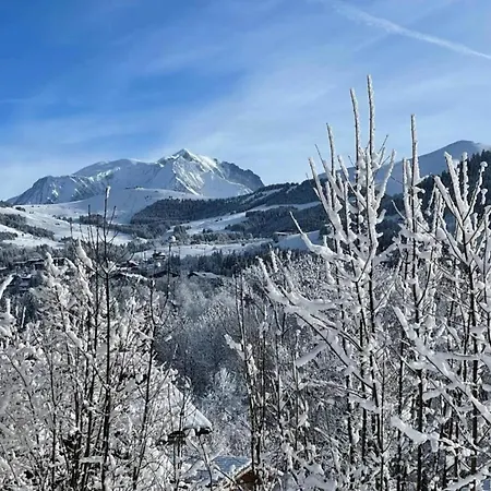 Stylish In Charming Megeve Chalet Praz-sur-Arly